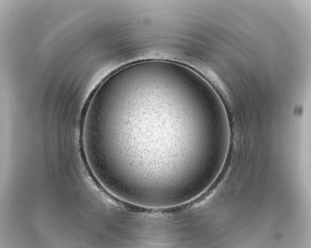 X0000094190896200711021025