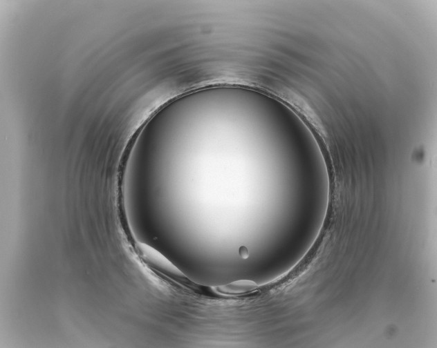 X0000094190898200711021025