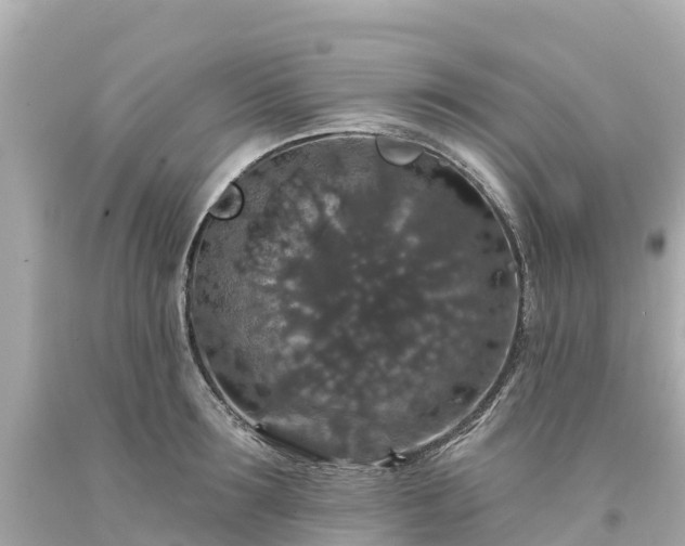 X0000094190899200711021025