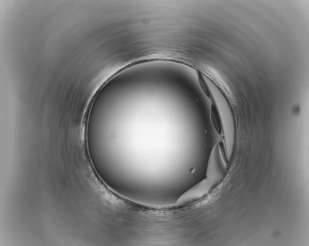 X0000094190900200711021025