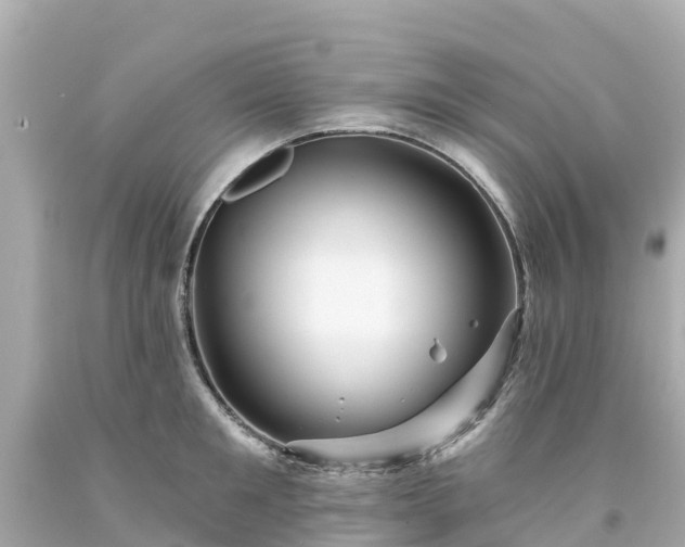 X0000094190901200711021025