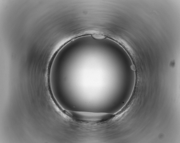 X0000094190902200711021025