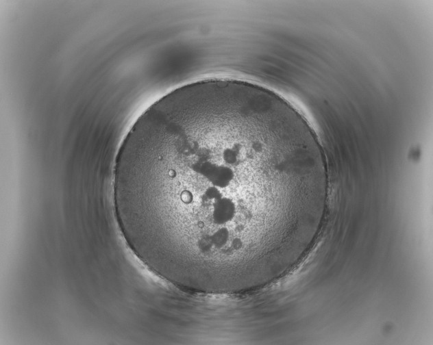 X0000094190903200711021025