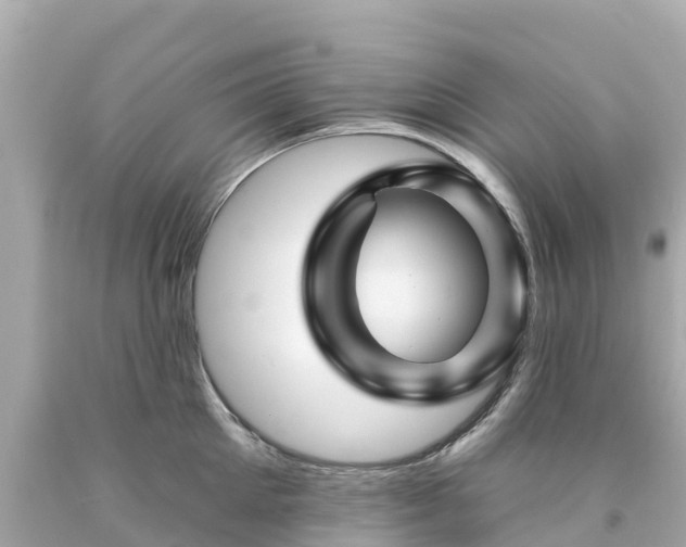 X0000094190905200711021025