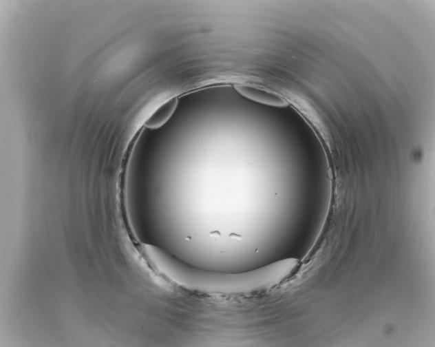 X0000094190906200711021025