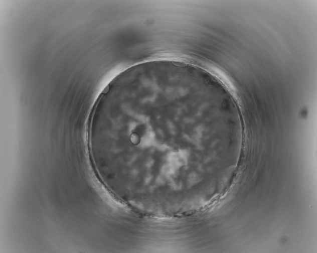 X0000094190907200711021025