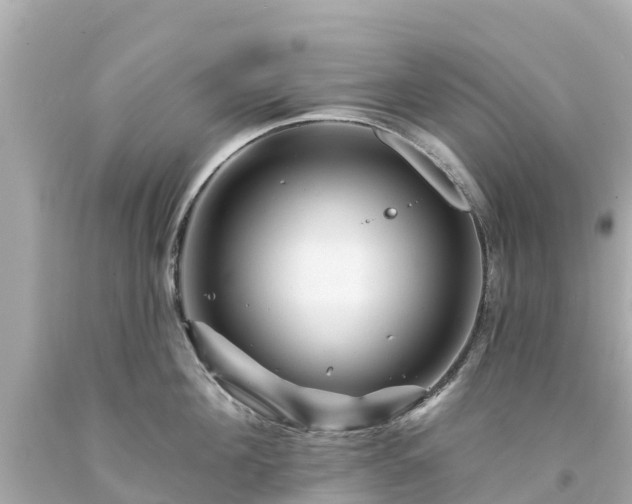 X0000094190908200711021025