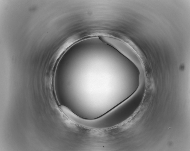 X0000094190909200711021025