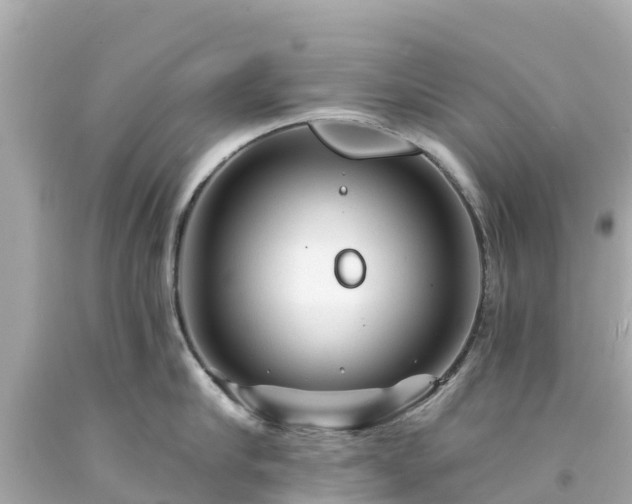 X0000094190910200711021025