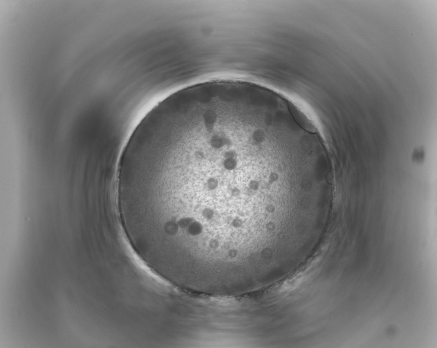 X0000094190911200711021025