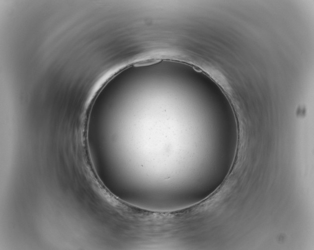 X0000094190912200711021025