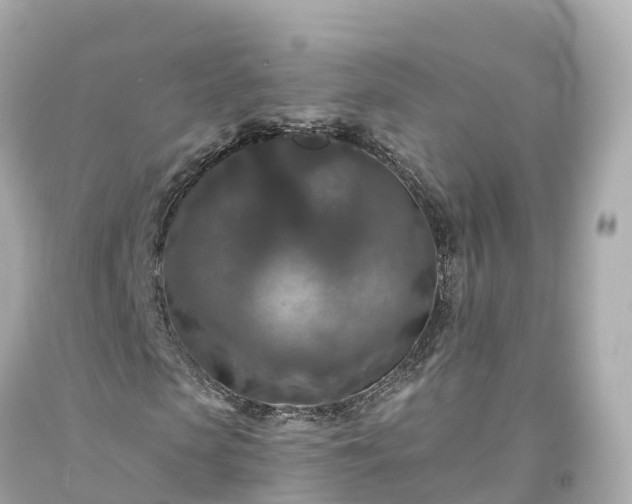 X0000094190913200711021024