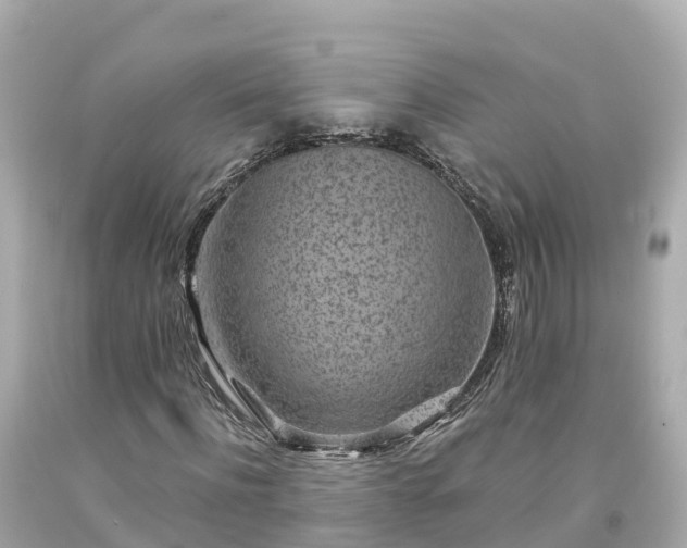 X0000094190916200711021024