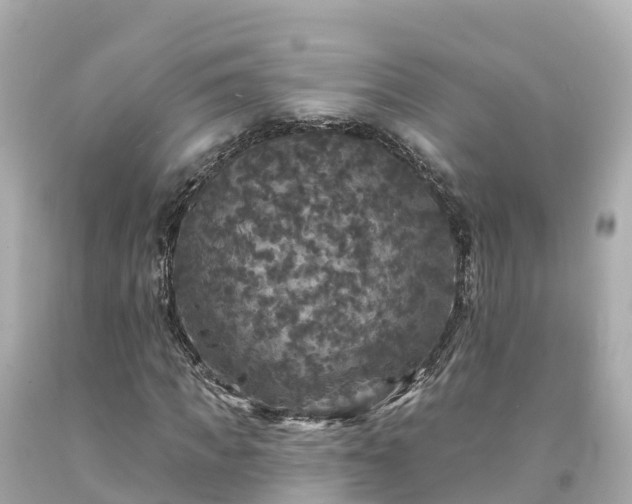 X0000094190917200711021024