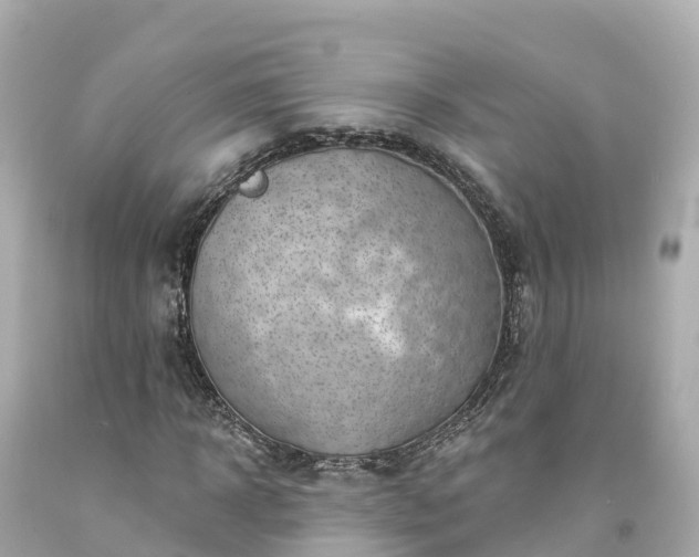 X0000094190918200711021024