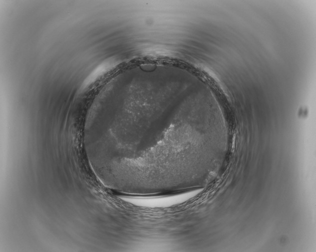 X0000094190919200711021024