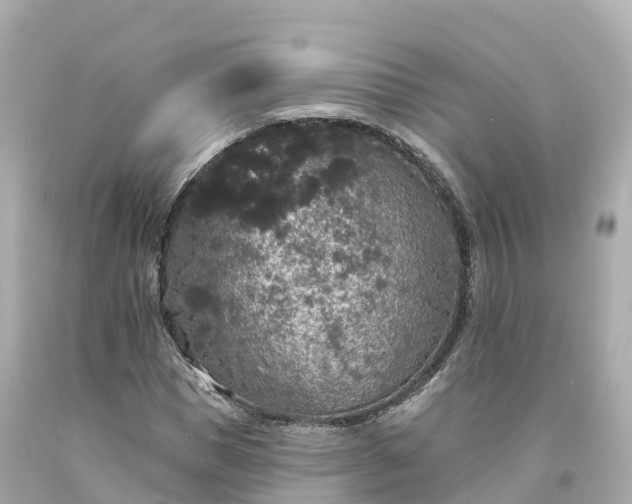 X0000094190921200711021024