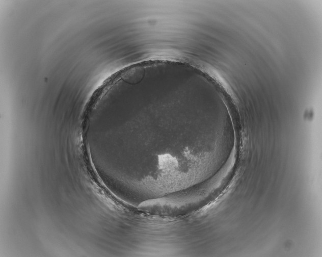 X0000094190923200711021024