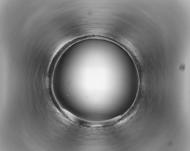 X0000094190924200711021024