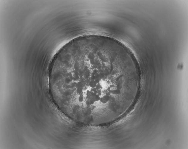 X0000094190925200711021024