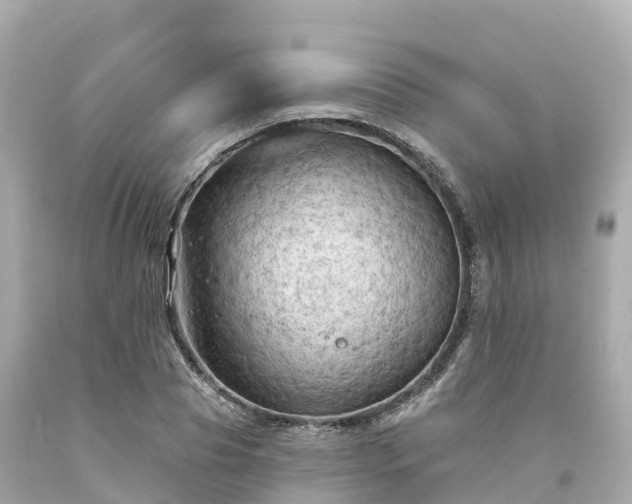 X0000094190929200711021024