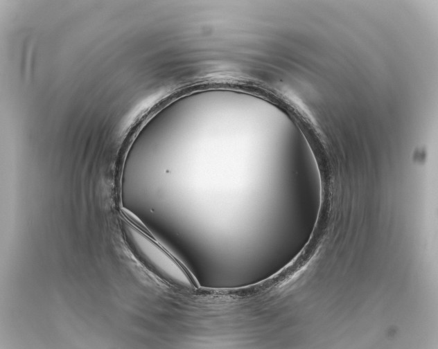 X0000094190930200711021024