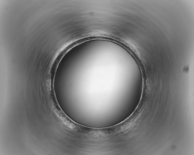 X0000094190931200711021024