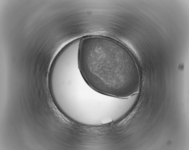 X0000094190932200711021024