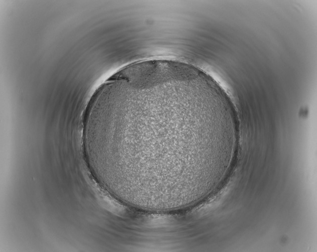 X0000094190933200711021024