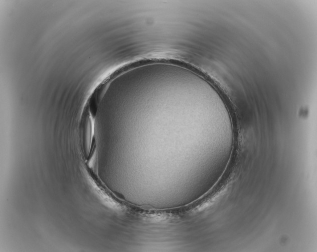 X0000094190934200711021024