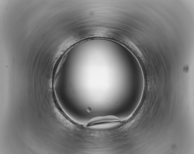 X0000094190938200711021024