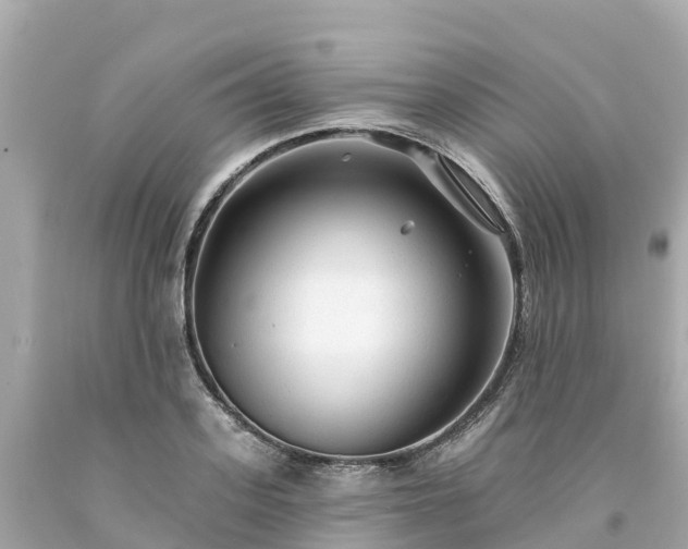 X0000094190939200711021025