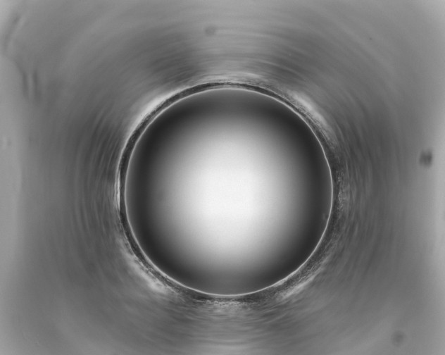 X0000094190940200711021025