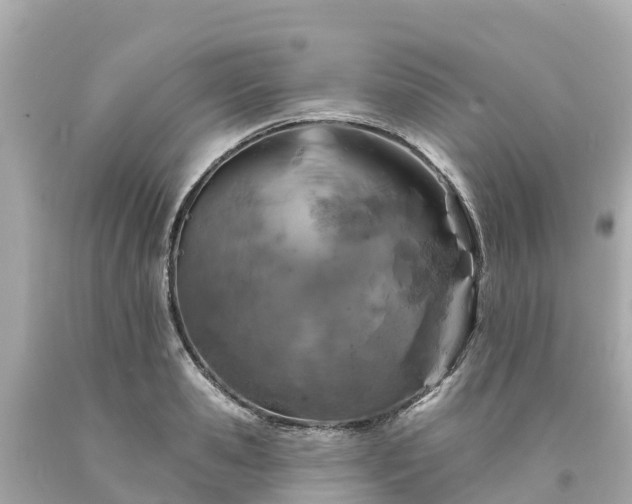 X0000094190941200711021025