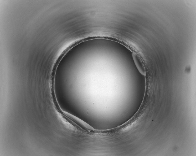 X0000094190942200711021025