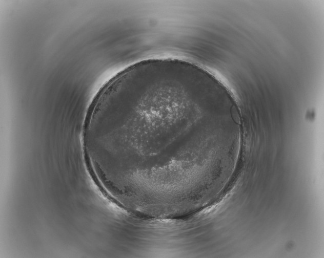 X0000094190943200711021025