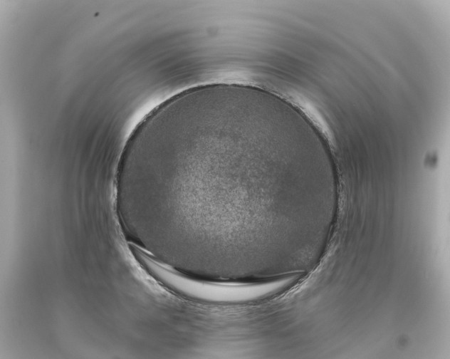 X0000094190944200711021025