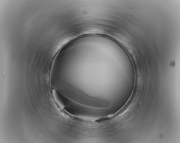 X0000094190945200711021025