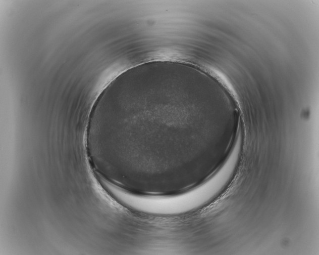 X0000094190946200711021025