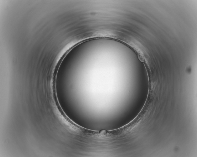 X0000094190947200711021025