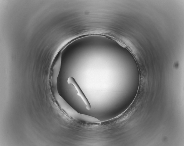 X0000094190948200711021025