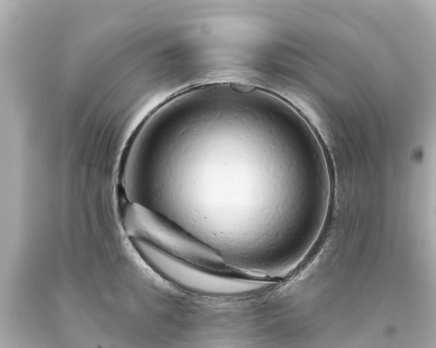 X0000094190949200711021025