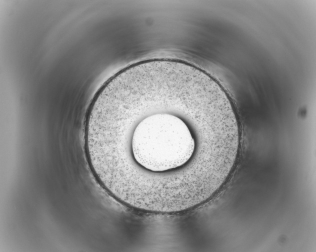 X0000094190950200711021025