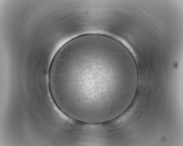 X0000094190951200711021025