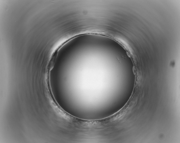 X0000094190952200711021025