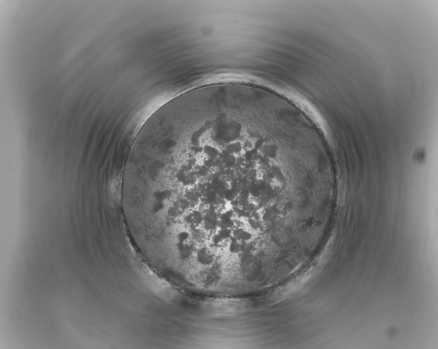 X0000094190953200711021025