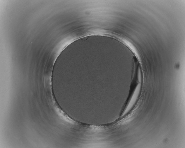 X0000094190954200711021025