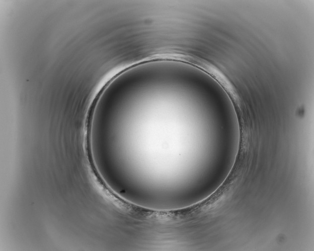 X0000094190955200711021025