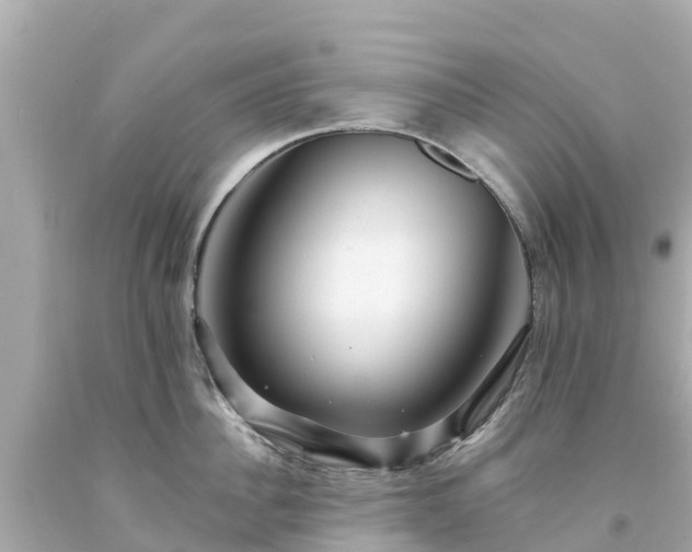 X0000094190956200711021025