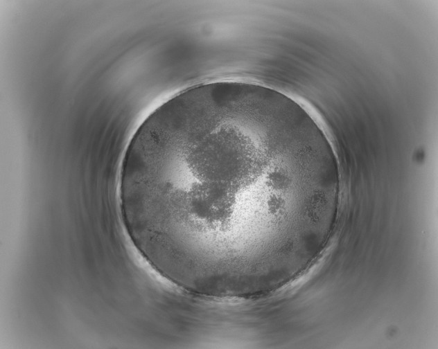 X0000094190957200711021025